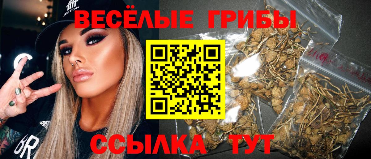 Псилоцибиновые грибы Psilocybine cubensis Магнитогорск