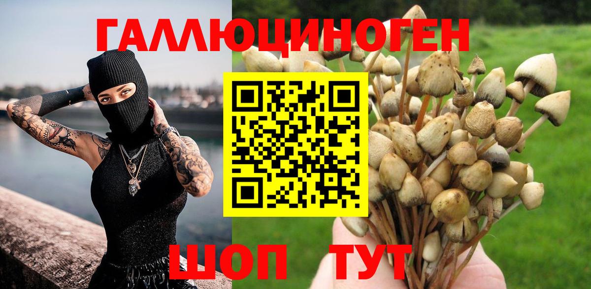 Магнитогорск  Галлюциногенные грибы MAGIC MUSHROOMS  Вход с VPN  Галлюциногенные грибы Cubensis 